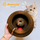 Avenzia™ - Curl & Hunt