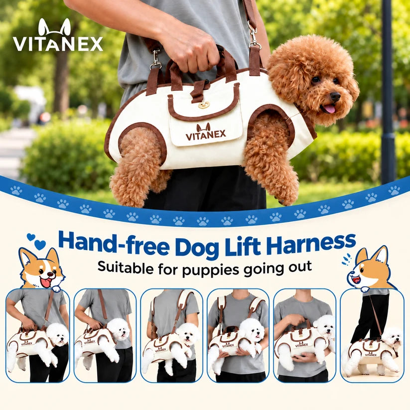Avenzia - Dog & Cat Travel Harness
