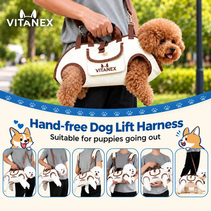 Avenzia - Dog & Cat Travel Harness