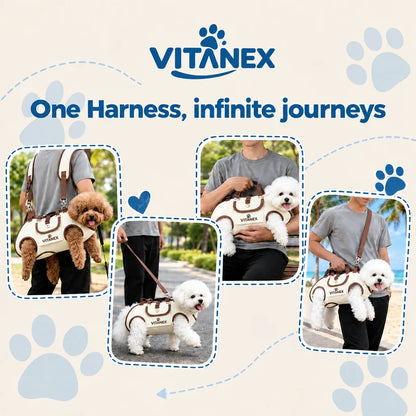 Avenzia - Dog & Cat Travel Harness