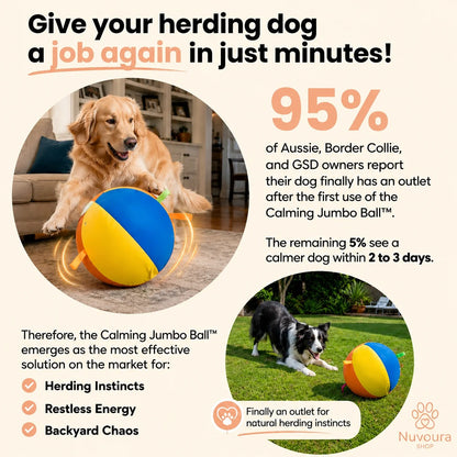Calming Jumbo Ball