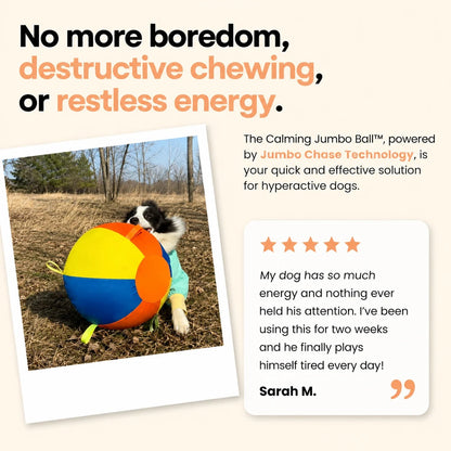 Calming Jumbo Ball
