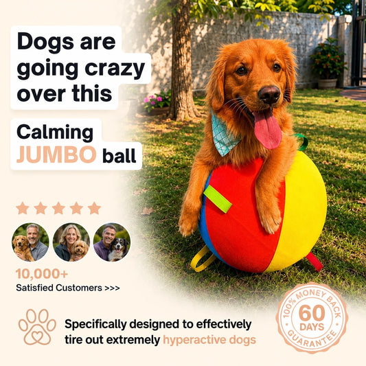Calming Jumbo Ball